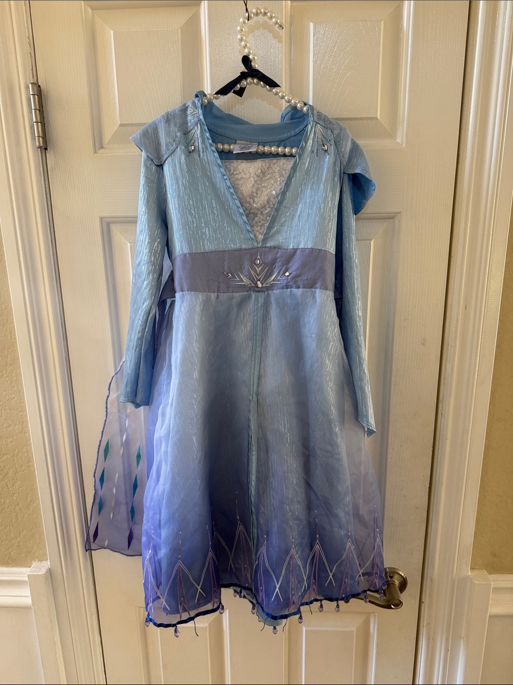 Disneyland Frozen 2 Elsa Princess Costume Dress Size 5/6